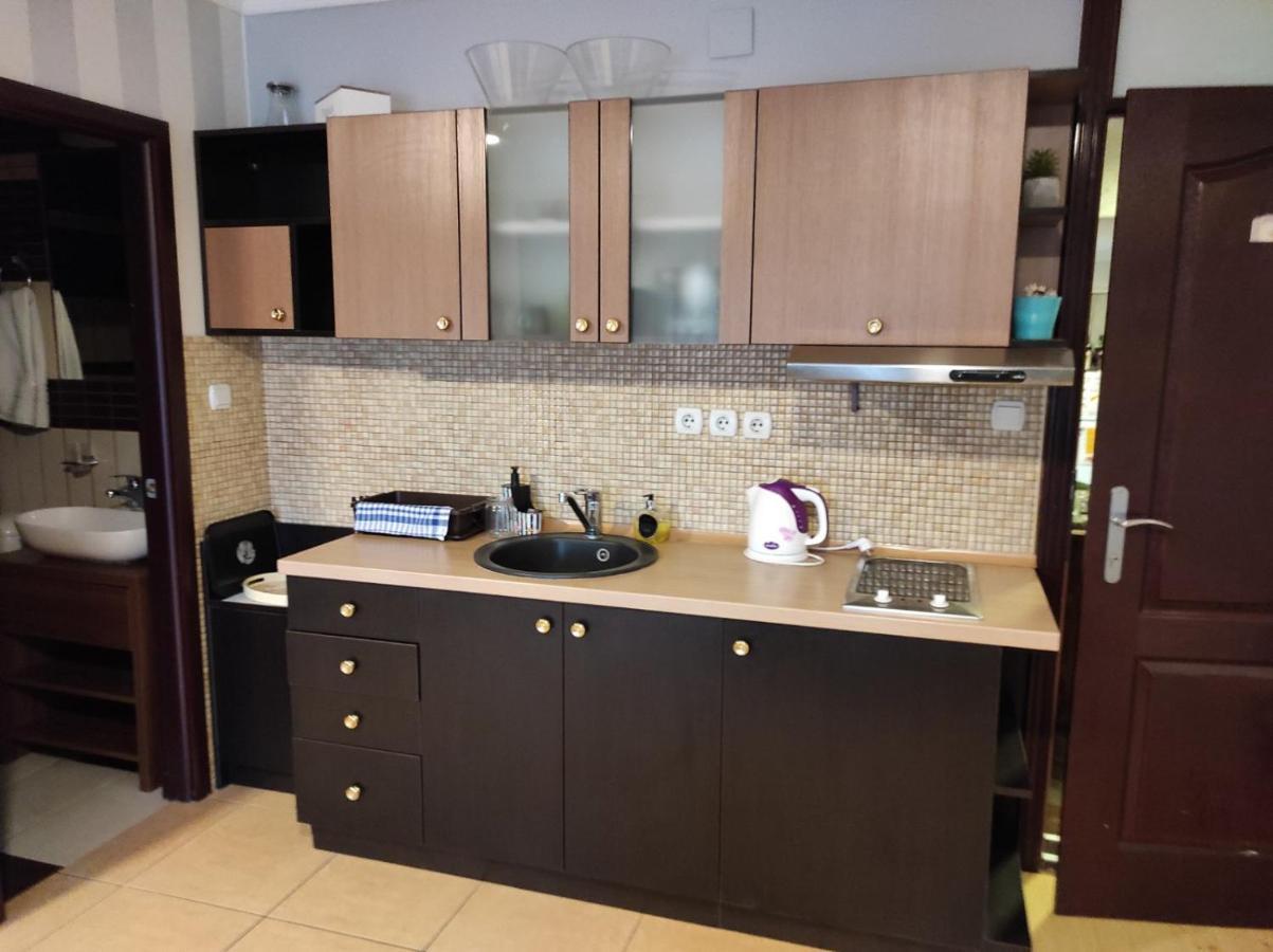 Vila Mila Riverside Apartments Smederevo Bagian luar foto