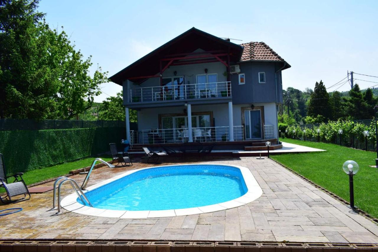 Vila Mila Riverside Apartments Smederevo Bagian luar foto